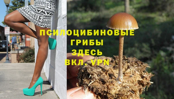 гидропоника Абаза