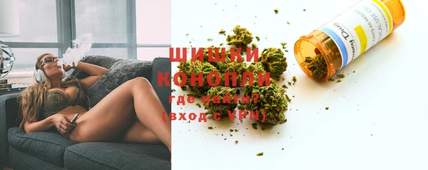 прущие грибы Чекалин
