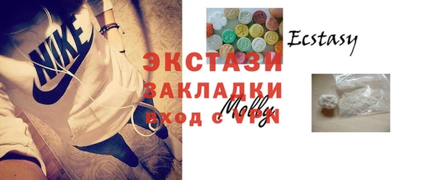 гашик Алексин