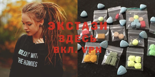 гашик Алексин